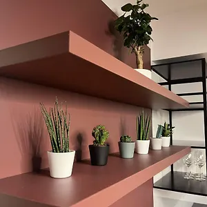 Alex - Plac Wolnosci 6 Poznań